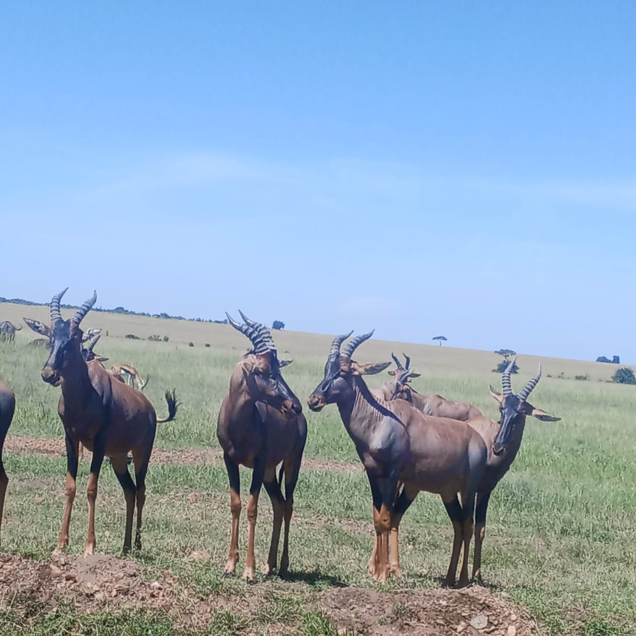 14 DAYS KENYA to TANZANIA