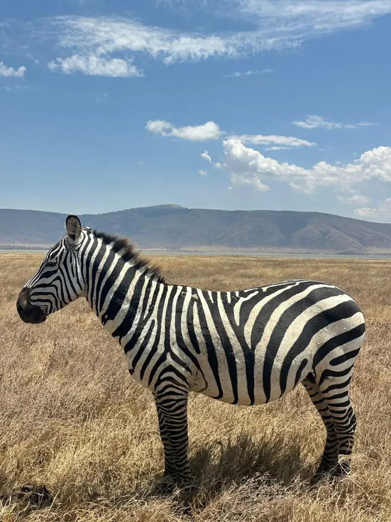 7-Day Lake Manyara, Ngorongoro Crater, Serengeti & Tarangire Safari