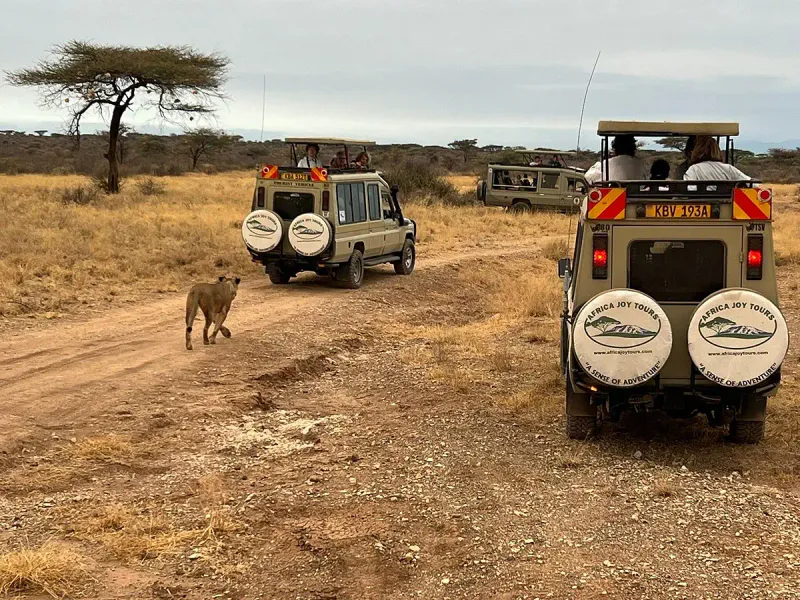 7 Days Best of Tanzania Group Joining Camping safari