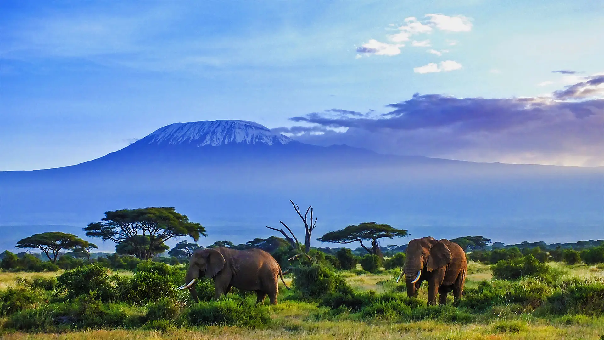 13 Days Kenya And Tanzania Safari