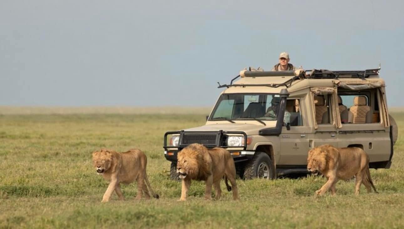5 Days Masai Mara, Lake Nakuru & Naivasha Safari – Classic Kenya Adventure