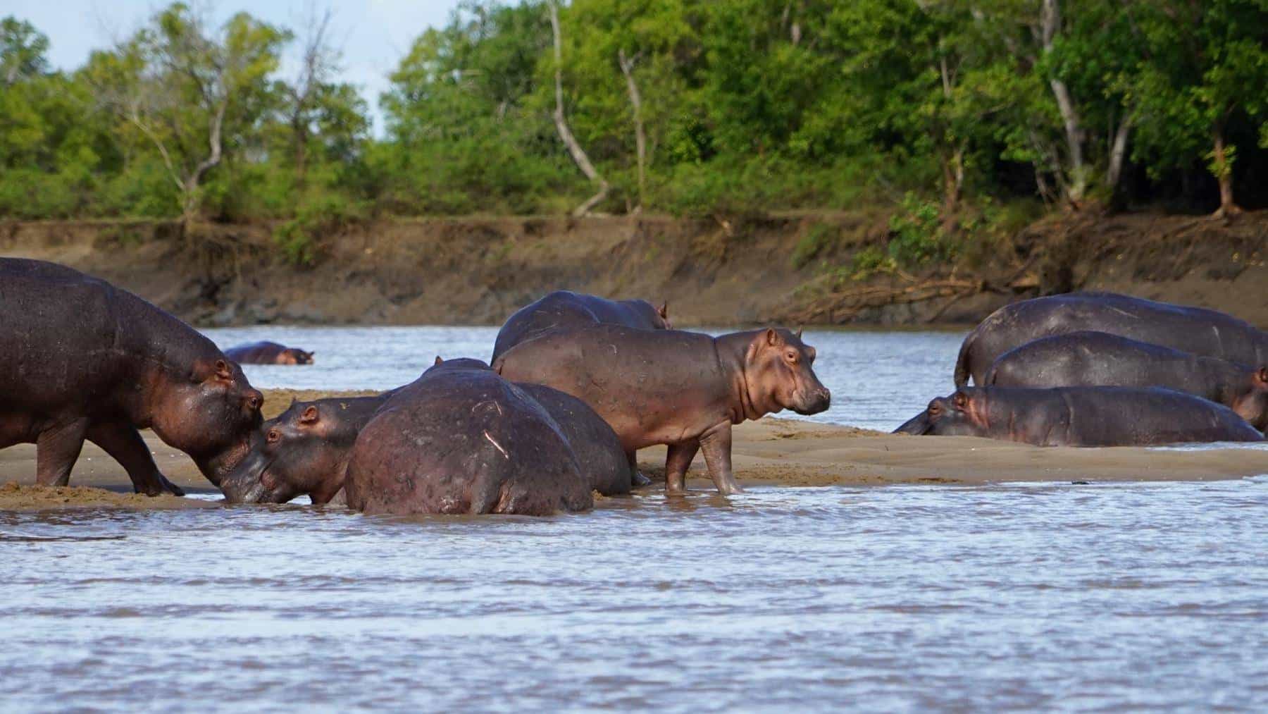 Southern Tanzania Hidden Gems – 5 Days Safari