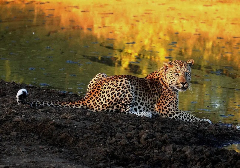 10-Day Ultimate Namibia