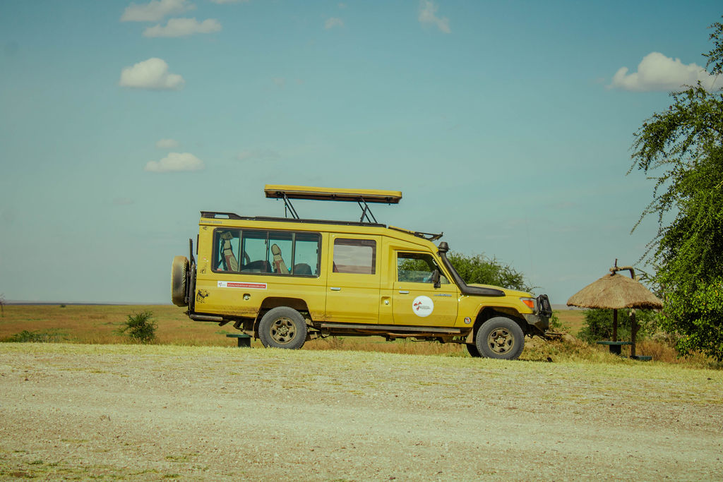6 days unforgettable Trip Explore the Beauity of Tanzania