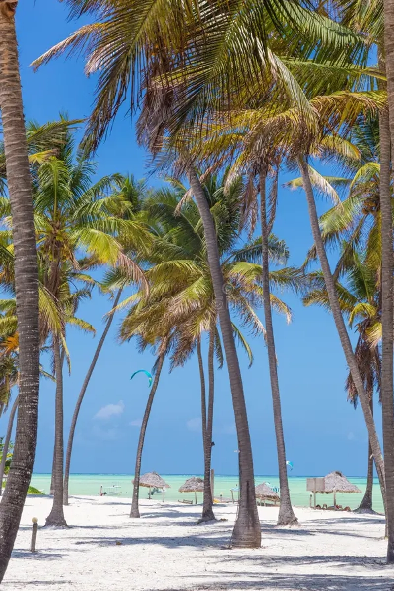 8-Day Iconic Parks and Beachtime