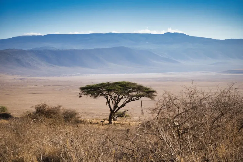 4-Day Ngorongoro Crater & Serengeti NP Mid-Range Tour