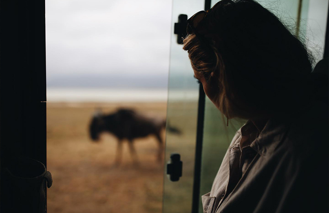 6 Days Big Five Safari to Tanzania Wilds