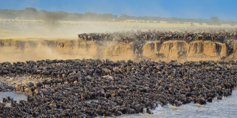 7 Days: Tarangire National Park, Lake Natron, Serengeti National Park North & Central and Ngorongoro Crater