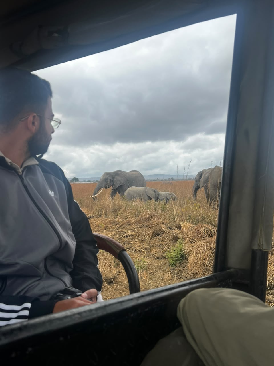 3-day Serengeti plains and Ngorongoro crater safari