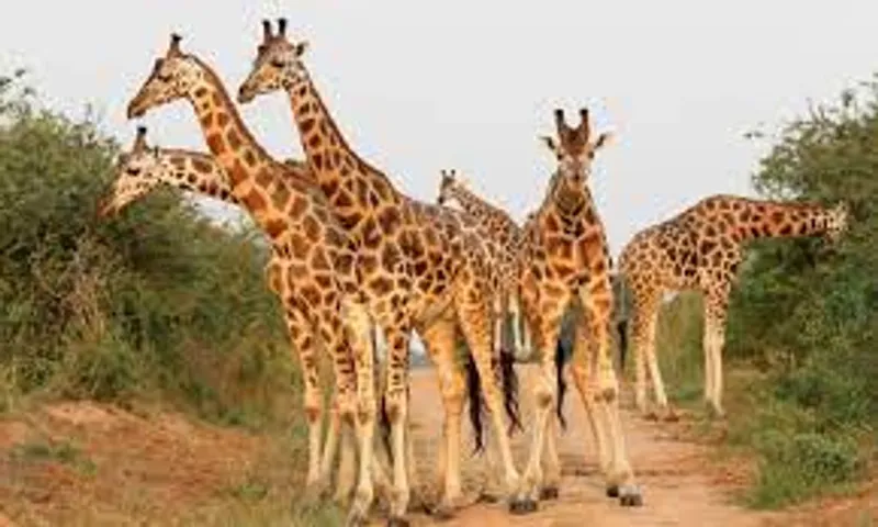 KIDEPO VALLEY LUXURY EXPERIENCE