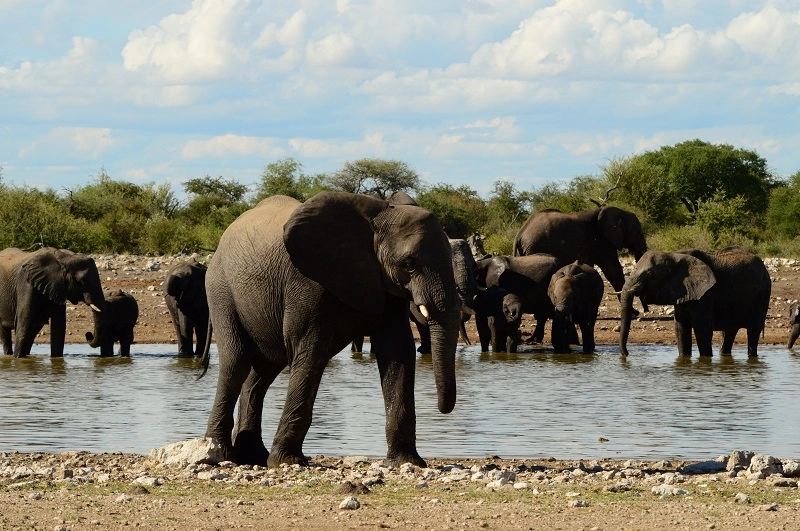 7-Day Namibia Getaway Adventure