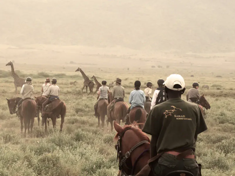 Horse Back Ride Safari