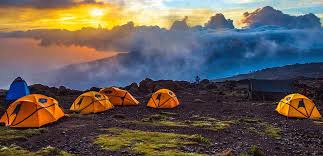 7- Day Experiencing The Uniqueness Of Kilimanjaro through Lemosho Route.