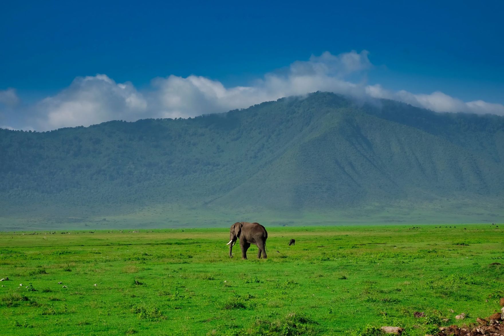 7 Days Best of Tanzania Safari