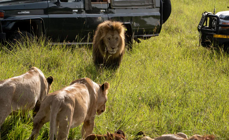 5 Days Rift Valley Classic: Naivasha, Nakuru & Maasai Mara