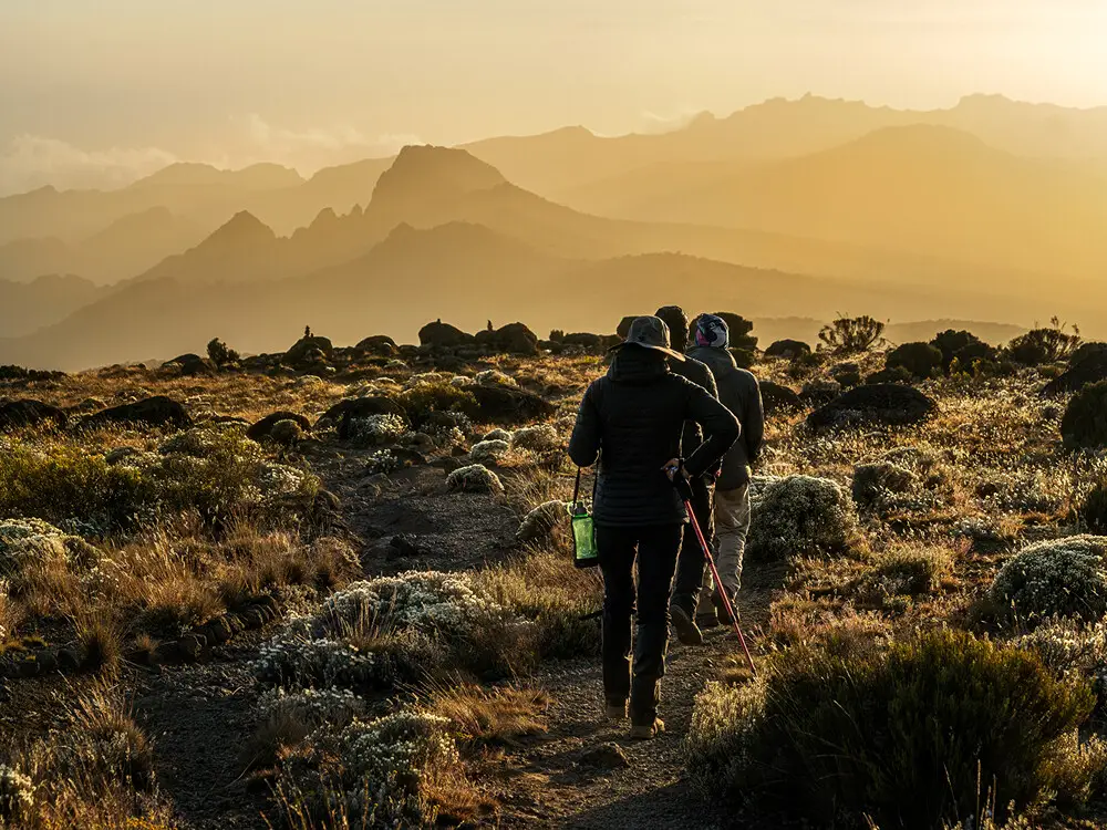 Marangu Express Summit – 5 Days Kilimanjaro Adventure