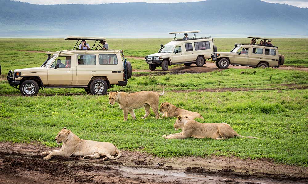 3-Day Culture Experience and Safari