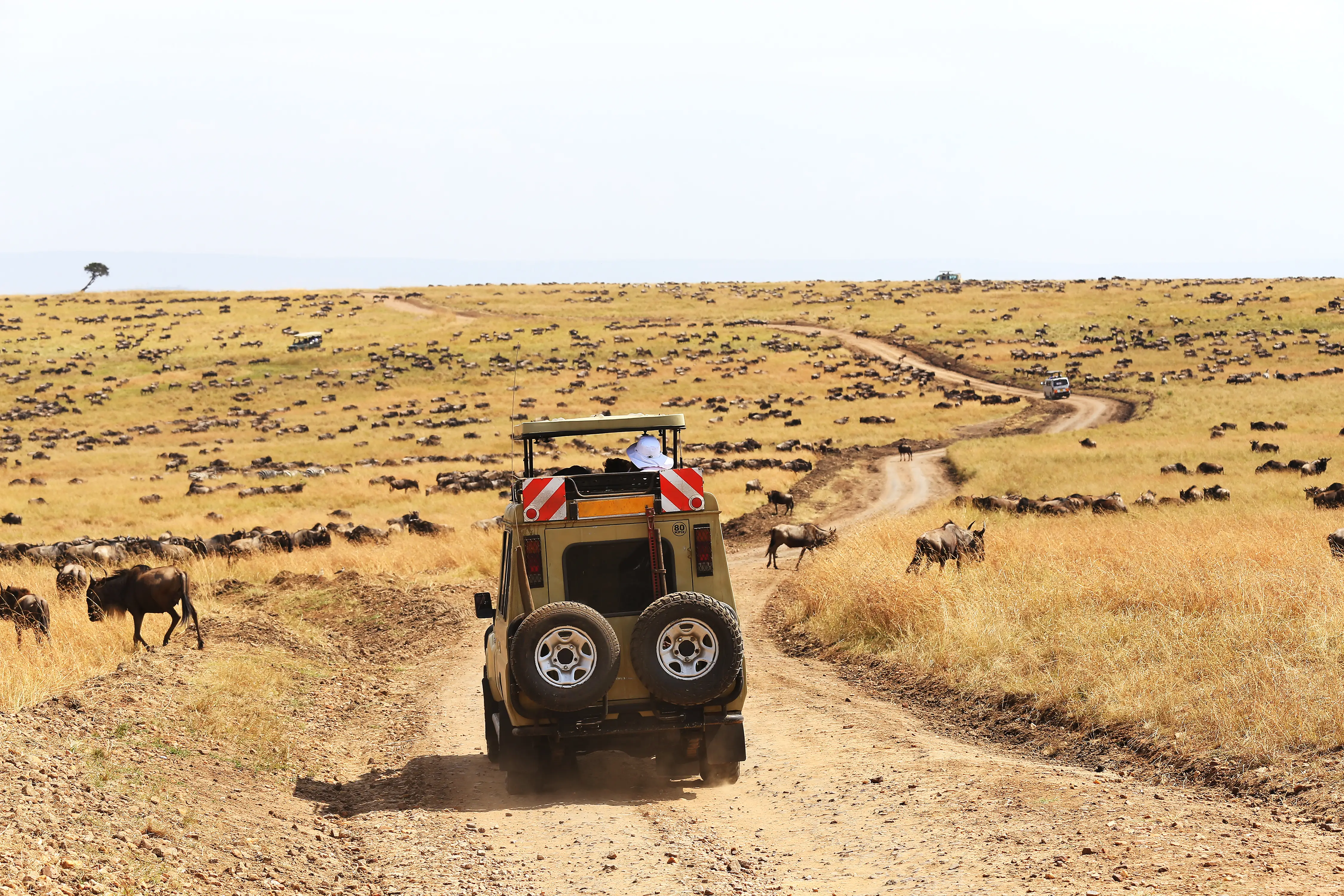 4-Day Tarangire Ngorongoro & Southern Serengeti (Ndutu)