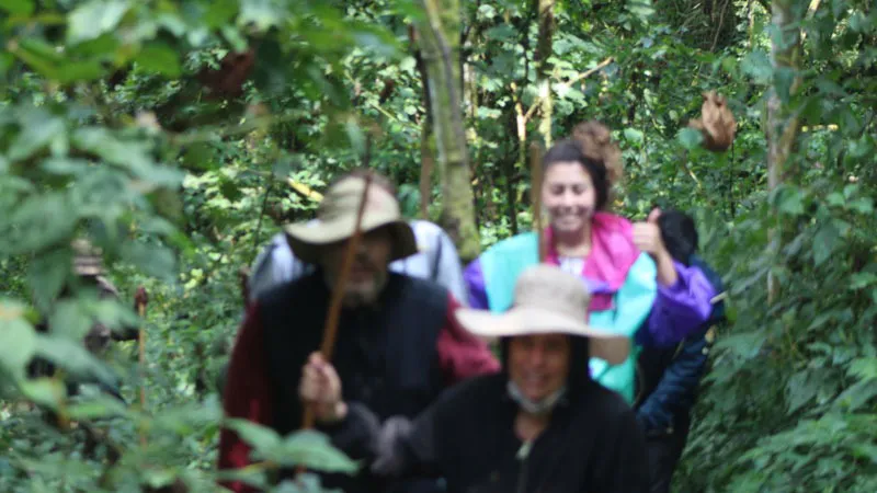 10-Days Thrilling Safari In Uganda