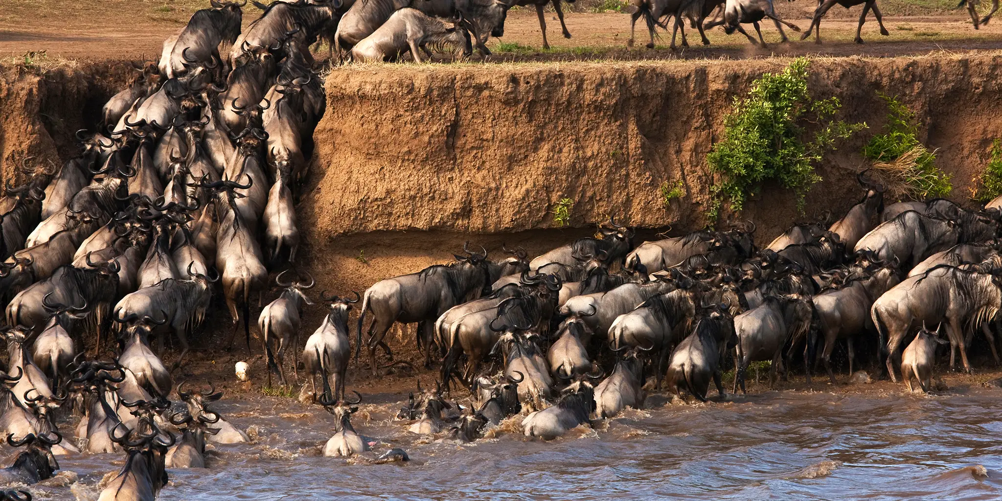 Safari to Beach Expedition – 12 Days Kenya, Tanzania & Zanzibar