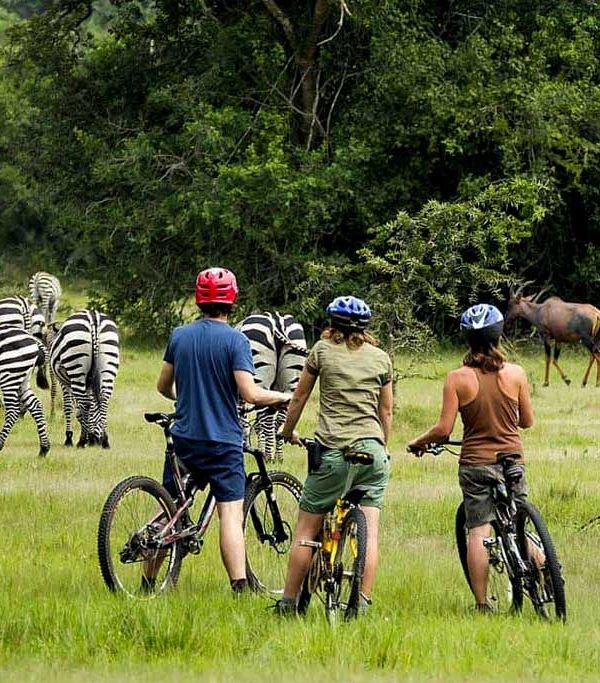 3-Day Breathtaking Safari To Lake Mburo National Park