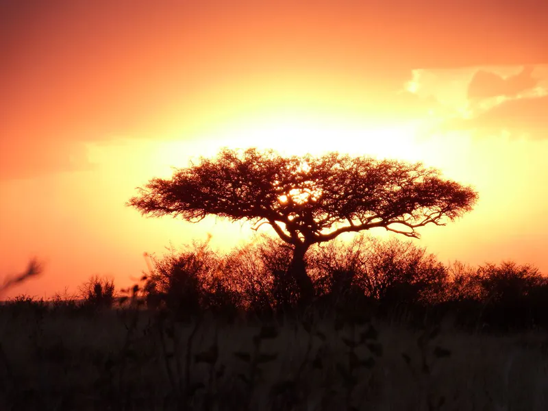 4 Days Maasai Mara and Lake Nakuru Luxury safari