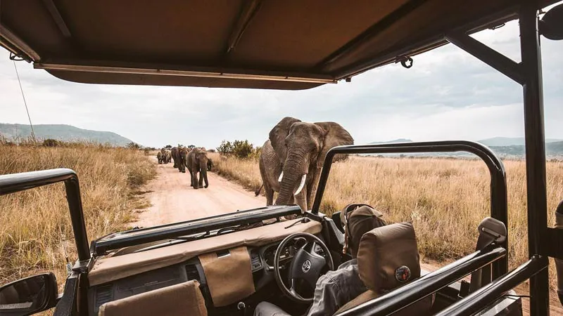 11-Days Aberdares, Naivasha, Masai Mara & Mombasa Beach Stay