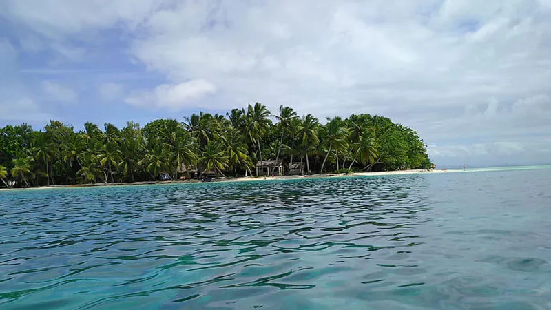 11-Day Andasibe,Palmarium,Sainte Marie