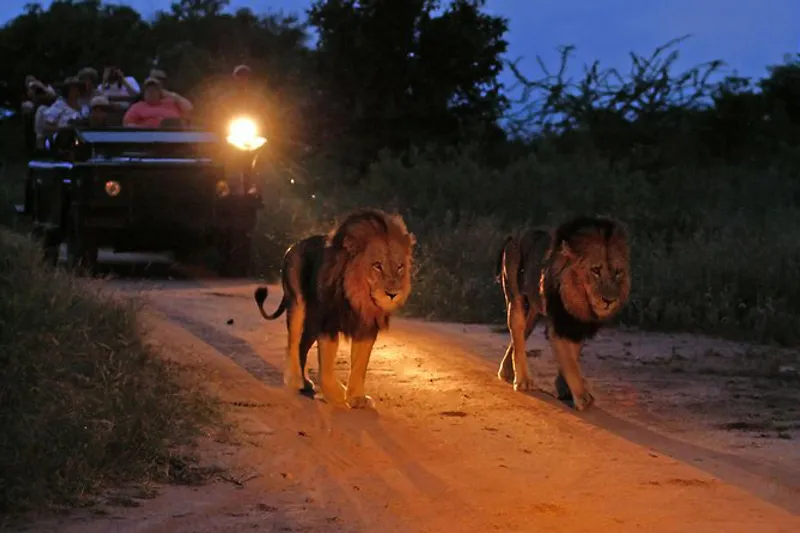 4-Day Night Game Drive Mid Range Sere-Ngorongoro-Manyara