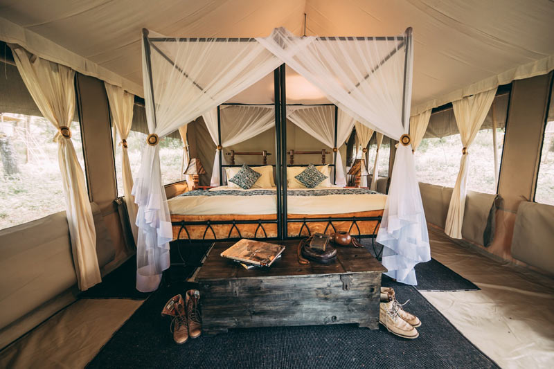 4-Days (Calving Season) - Tarangire, Ndutu, and Ngorongoro Crater