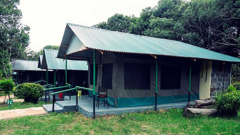 Miti Mingi Eco Camp