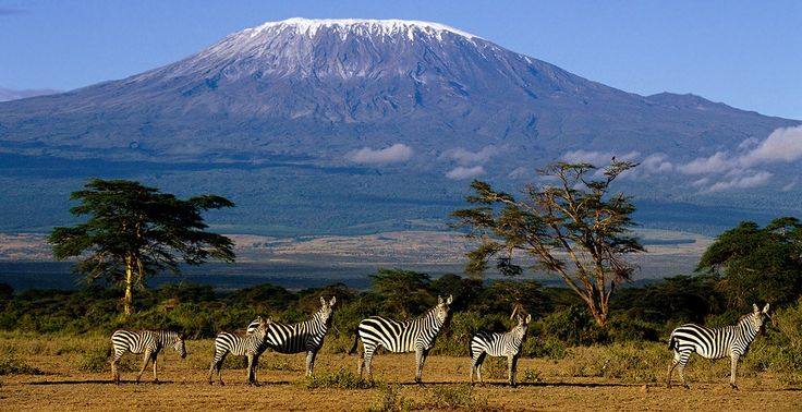 7 Days Tanzania Wildlife Safari Serengeti, Ngorongoro Crater, Tarangire & Lake Natron
