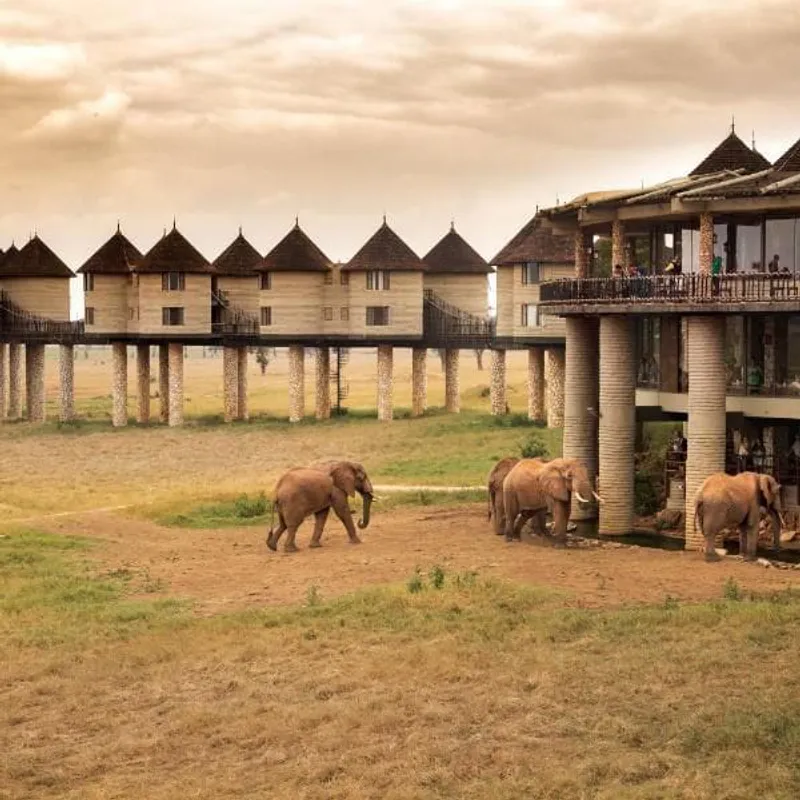 4 - Day Amboseli, Tsavo West and Taita Hills Adventure
