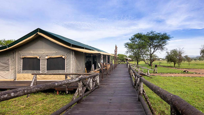 Tanzania Bush Camps