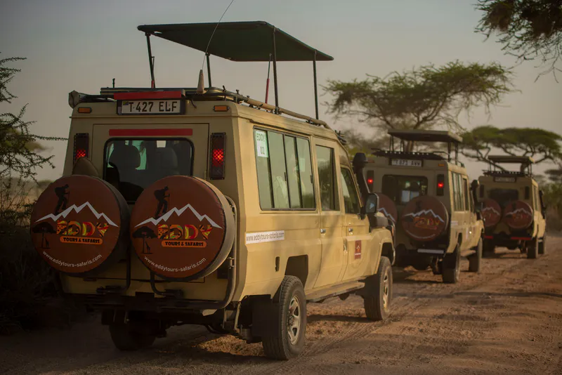 8-Days Tanzania Luxury Safari