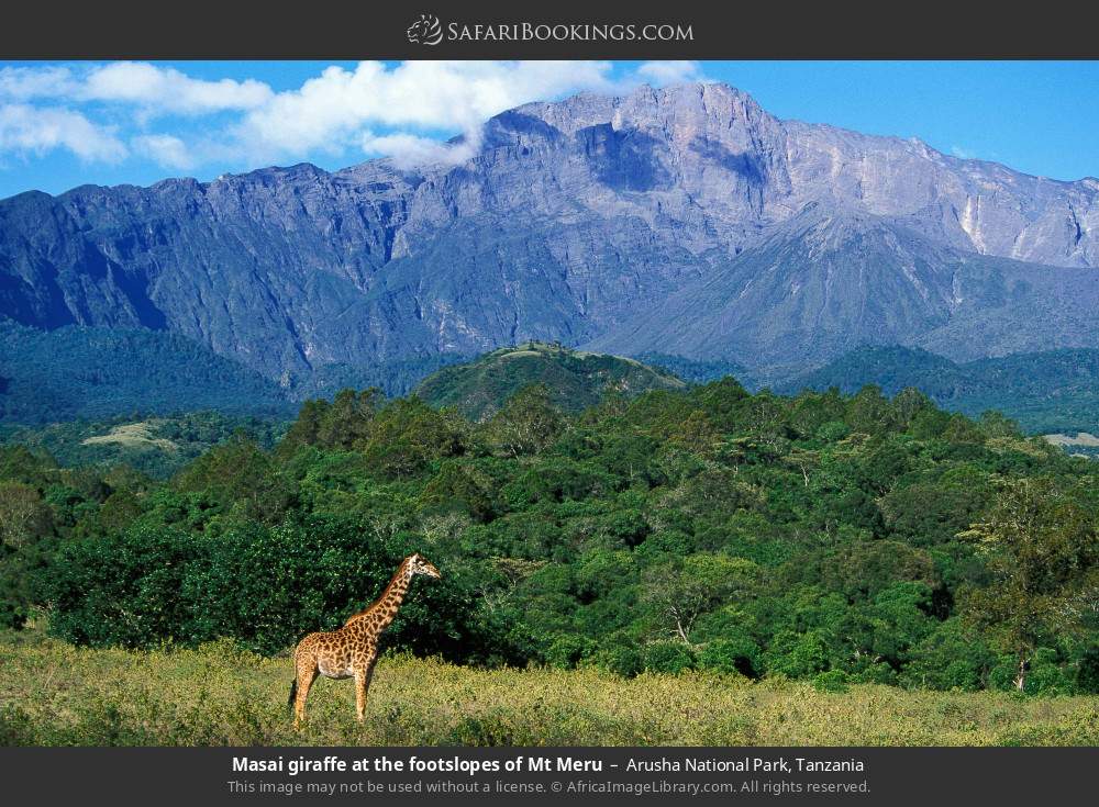 4-Day Explore Arusha NP, Tarangire, Ngorongoro & Manyara from Arusha