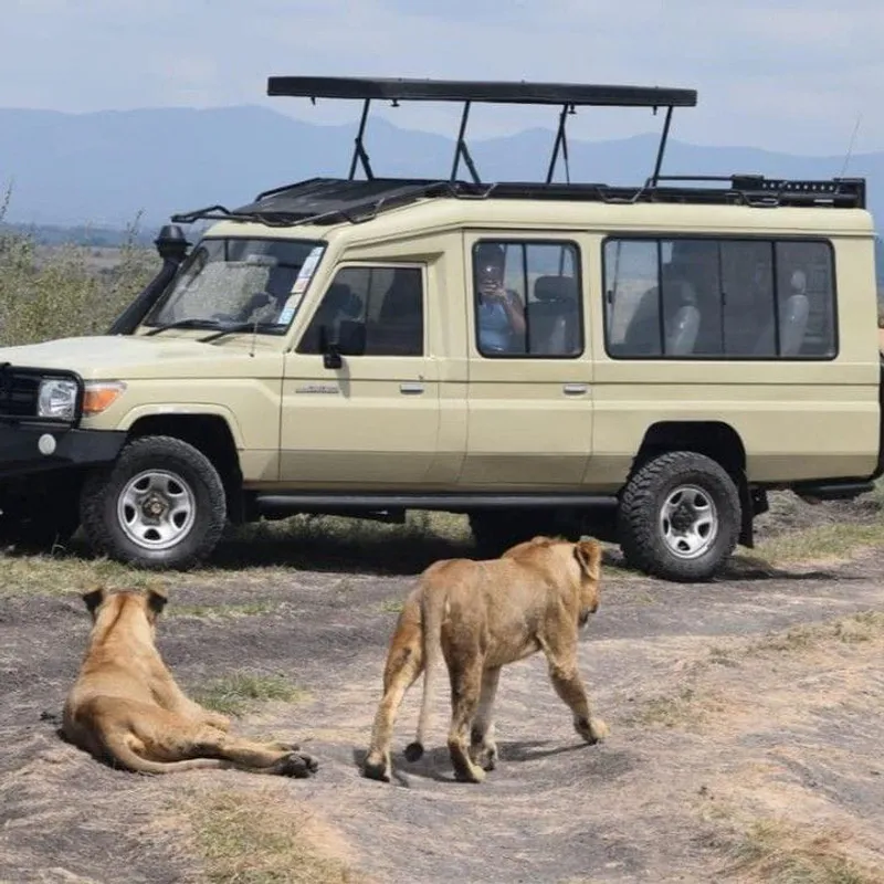 3 Days Masai Mara Jeep Trek Group Joining Safari