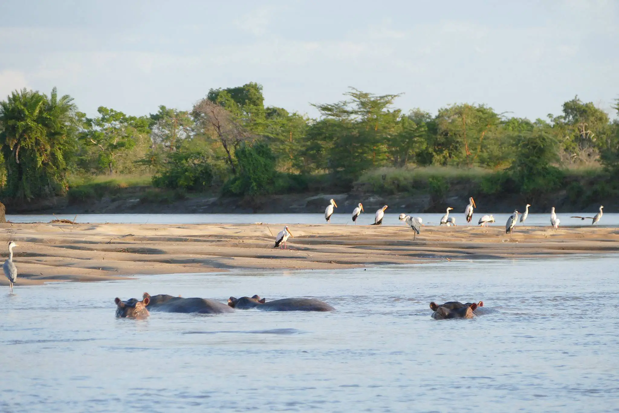 Southern Tanzania Hidden Gems – 5 Days Safari