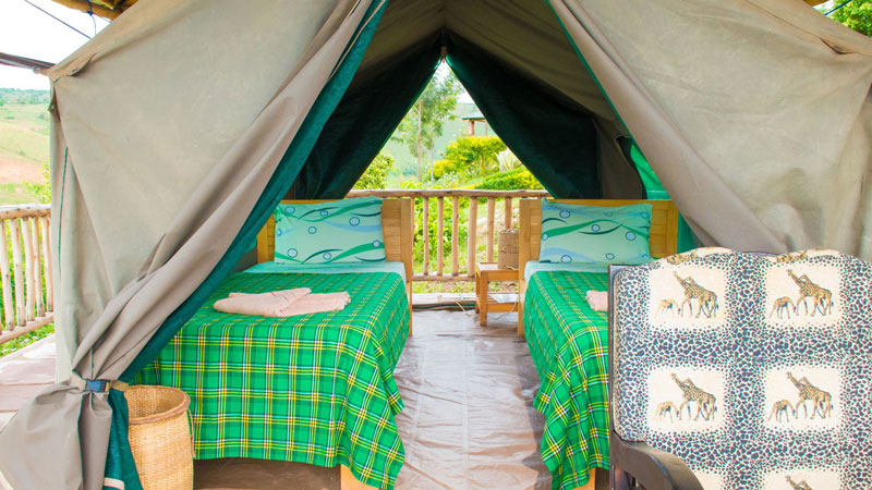 Eagle's nest camp
