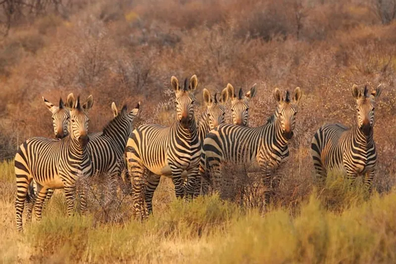6 Day Exclusive Tanzania Experience