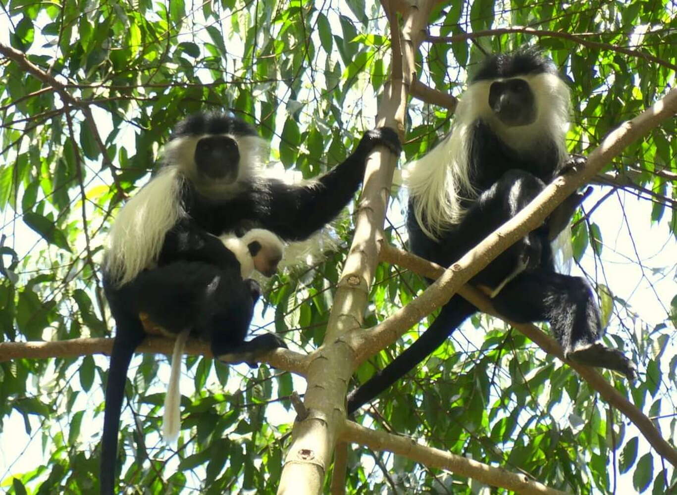 3-Day Amani Nature Forest Reserve Adventure From Dar es Salaam