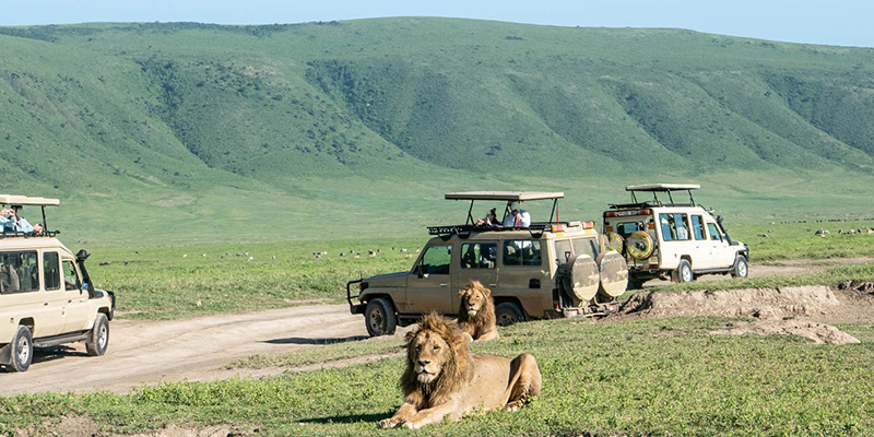 10 Days Midrange Safari and Zanzibar Beach