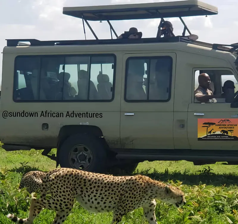 3-Day Wildlife and Cultural Experience in Tanzania