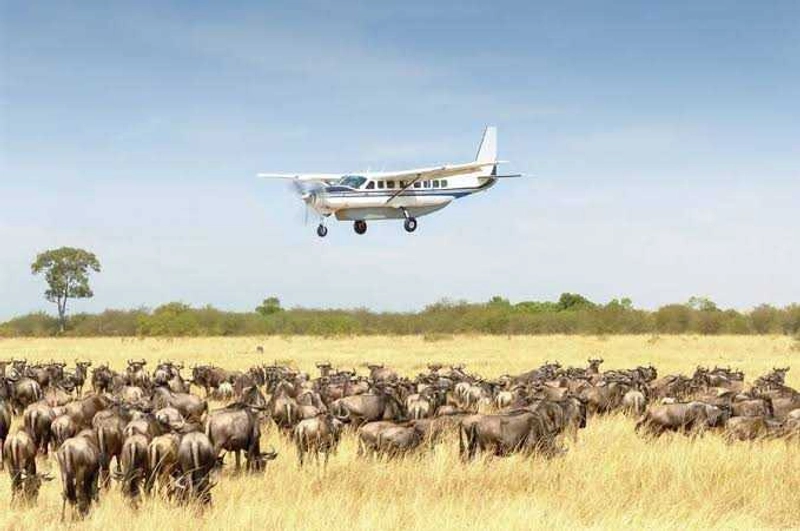 6 Days Calving Season, Ndutu, Central Serengeti, Tarangire and Ngorongoro Crater