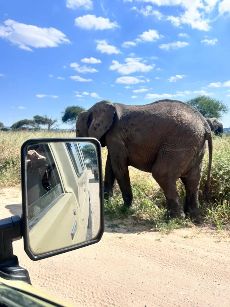1 day group safari to ngorongoro