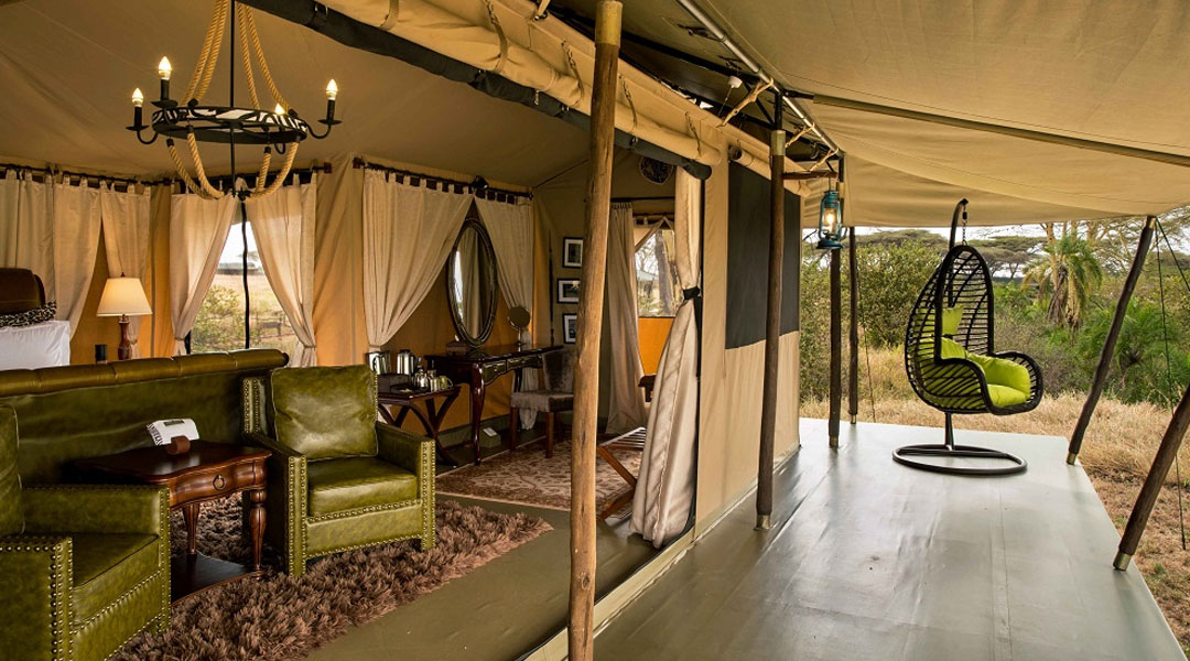 5 Days Exclusive Big Five Luxury Safari to Tanzania - Genius Kilimanjaro Climbing - Safarigo