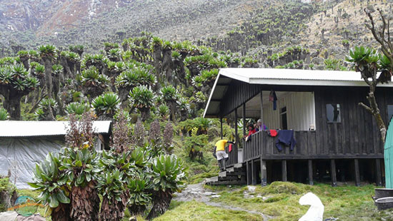 Bujuku Hut