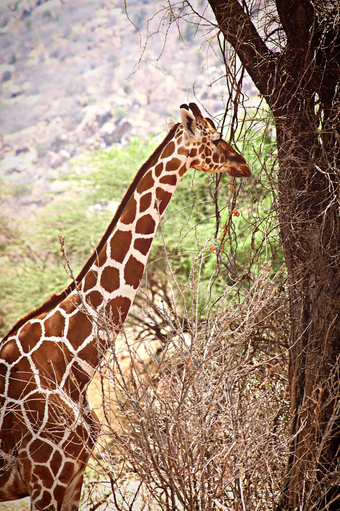 2 Days Rift Valley Escape