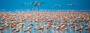 7-DAY NORTHERN CIRCUIT SAFARI & CULTURAL TOUR