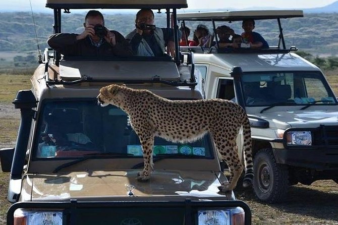 7-Day Luxury Wildebeest Migration Tour